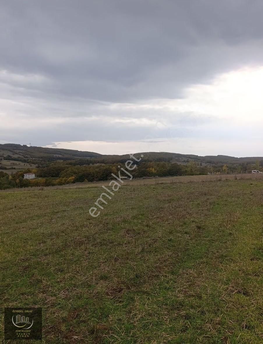 Kavak Çivril De 6.243m² Tek Tapu Tarla - Görsel 6