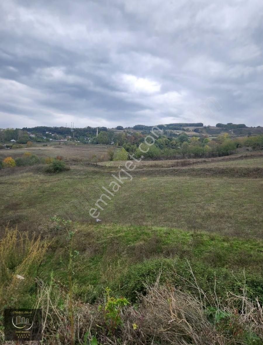 Atakum Sarıışık Ta Tek Tapu Fırsat Tarla - Görsel 2