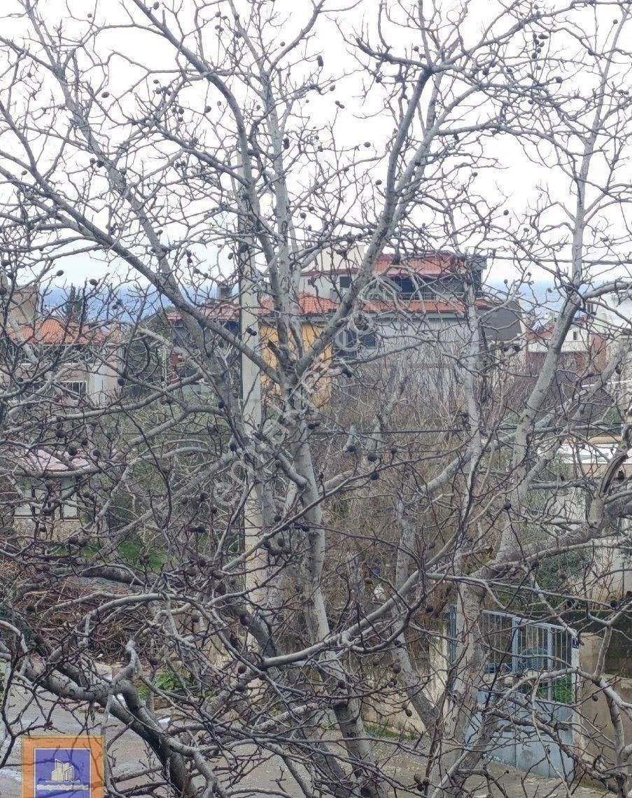 Denize 350 Mt Uzak Ön Cephe