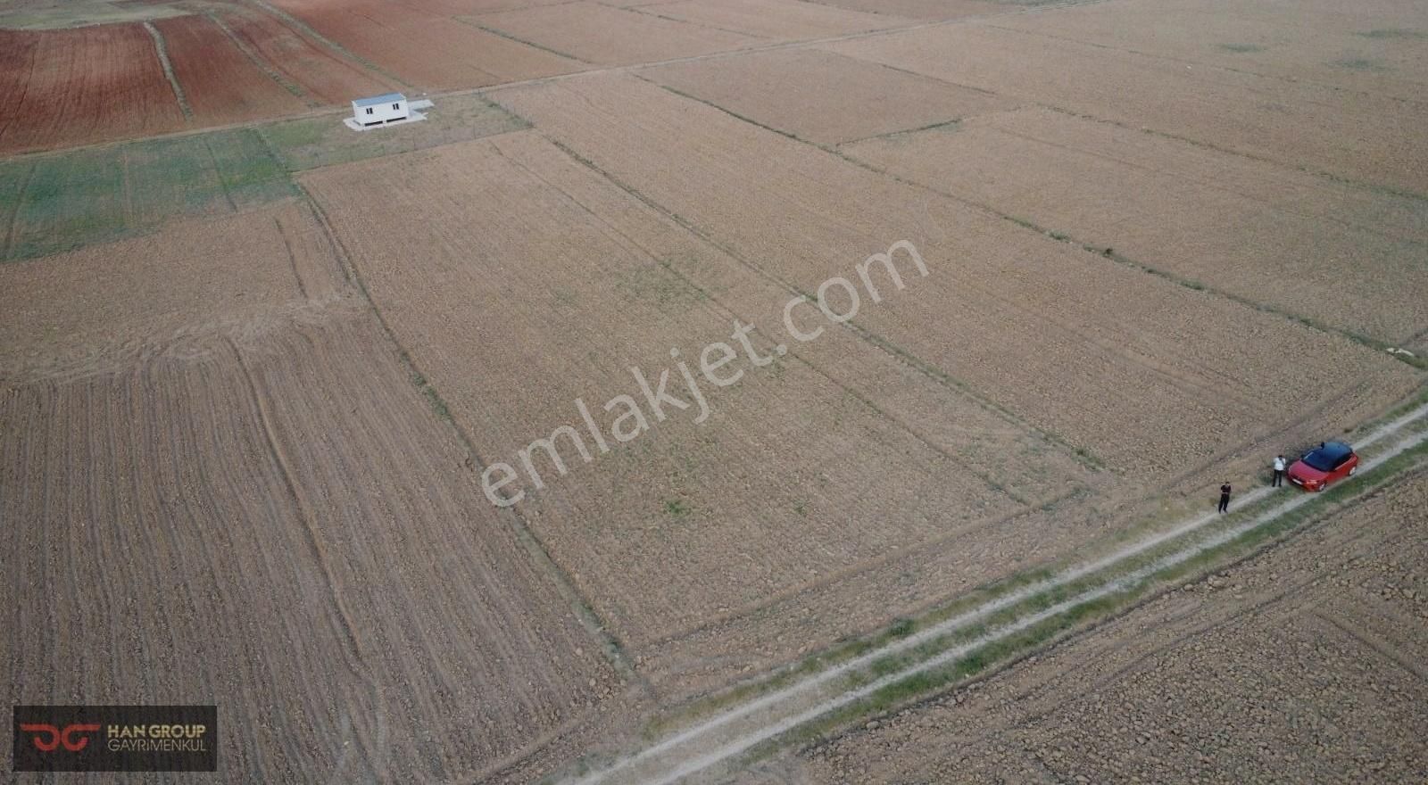 Beğiş Yayla Da 1630 M2 Kadastro Yolu Olan Muazzam Tarla - Görsel 7