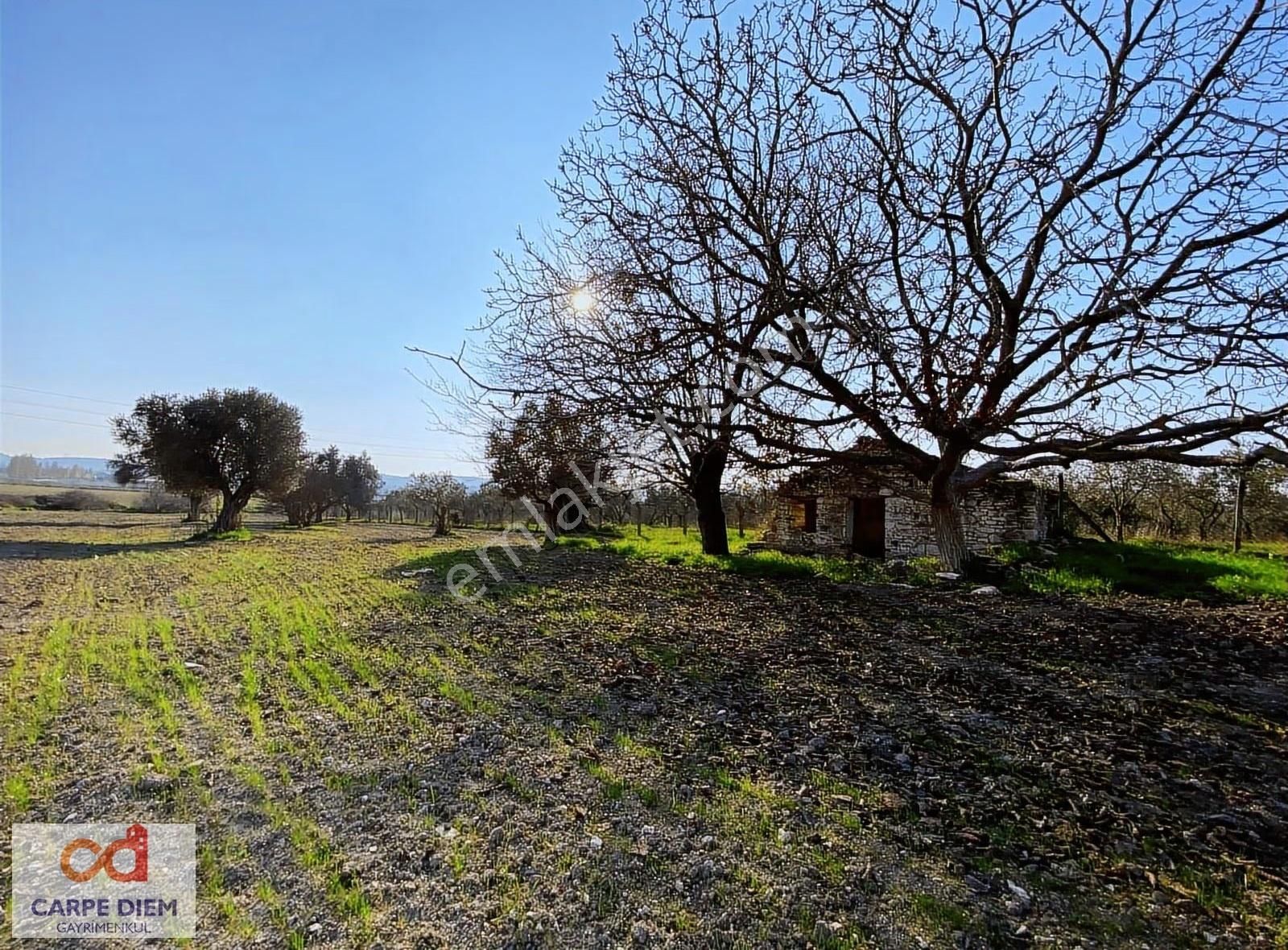 Urla İçmeler De Satılık İmar Sınırında Tarla - Görsel 7