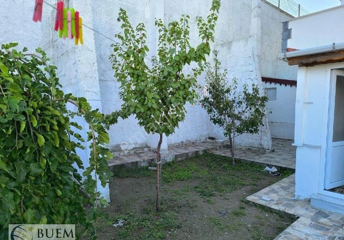 Avşa Adası Deniz Mah 1+1 Verandalı Esyalı Sobalı Büyük Müstakil Bahçeli Fırsat Fiyatı Avşa Merkez - Görsel 2