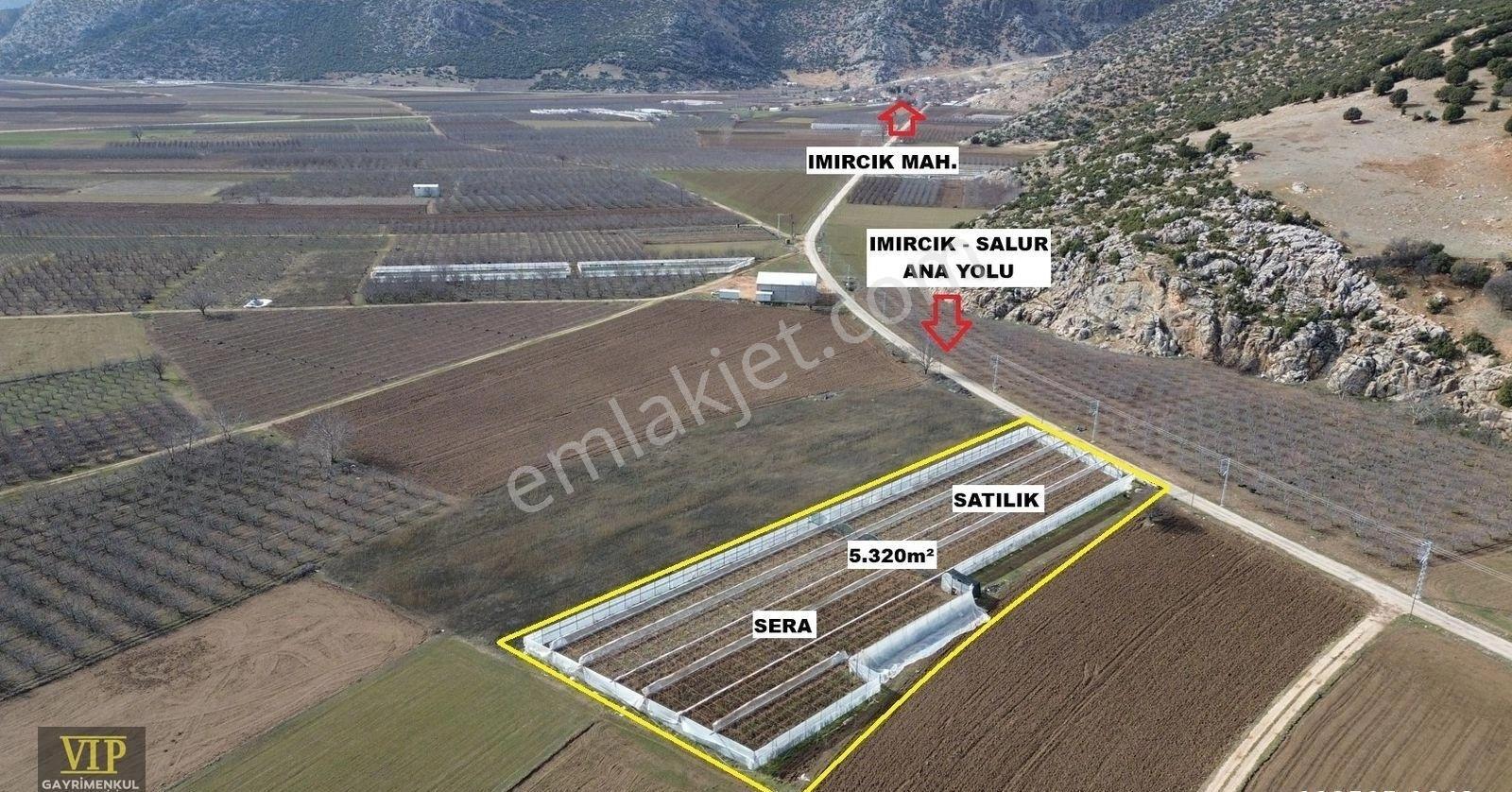 Vip Gayrimenkul'den Imırcık Mah. Anayol Cepheli 5.320m² Sera - Görsel 3