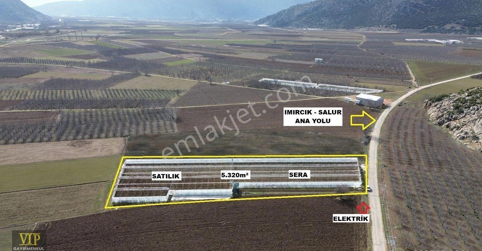Vip Gayrimenkul'den Imırcık Mah. Anayol Cepheli 5.320m² Sera - Görsel 6