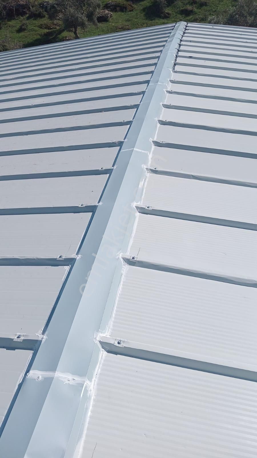 Söke Nalbantlar Köyünde Müstakil Villa Sıfır Yapılı Fırsat Yer - Görsel 5