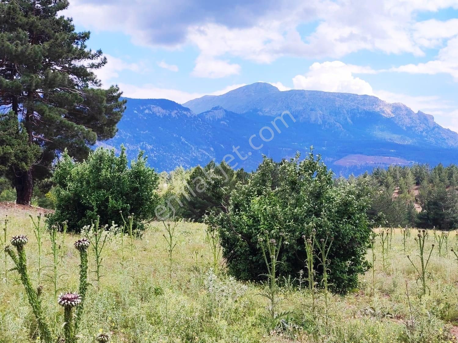 Kar Emlaktan Alpu Yaylasında 500m2 Satılık Arsa - Görsel 25