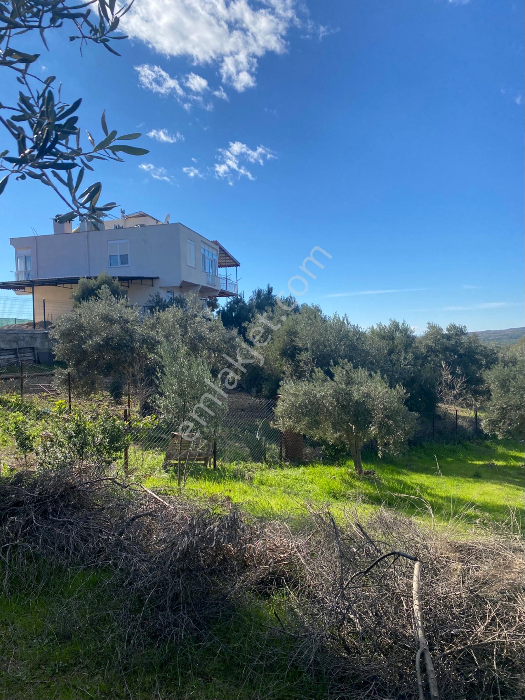 Evrenleryavşı Mahallesinde 1700 Metre Hisseli Tarla Satılık - Görsel 4