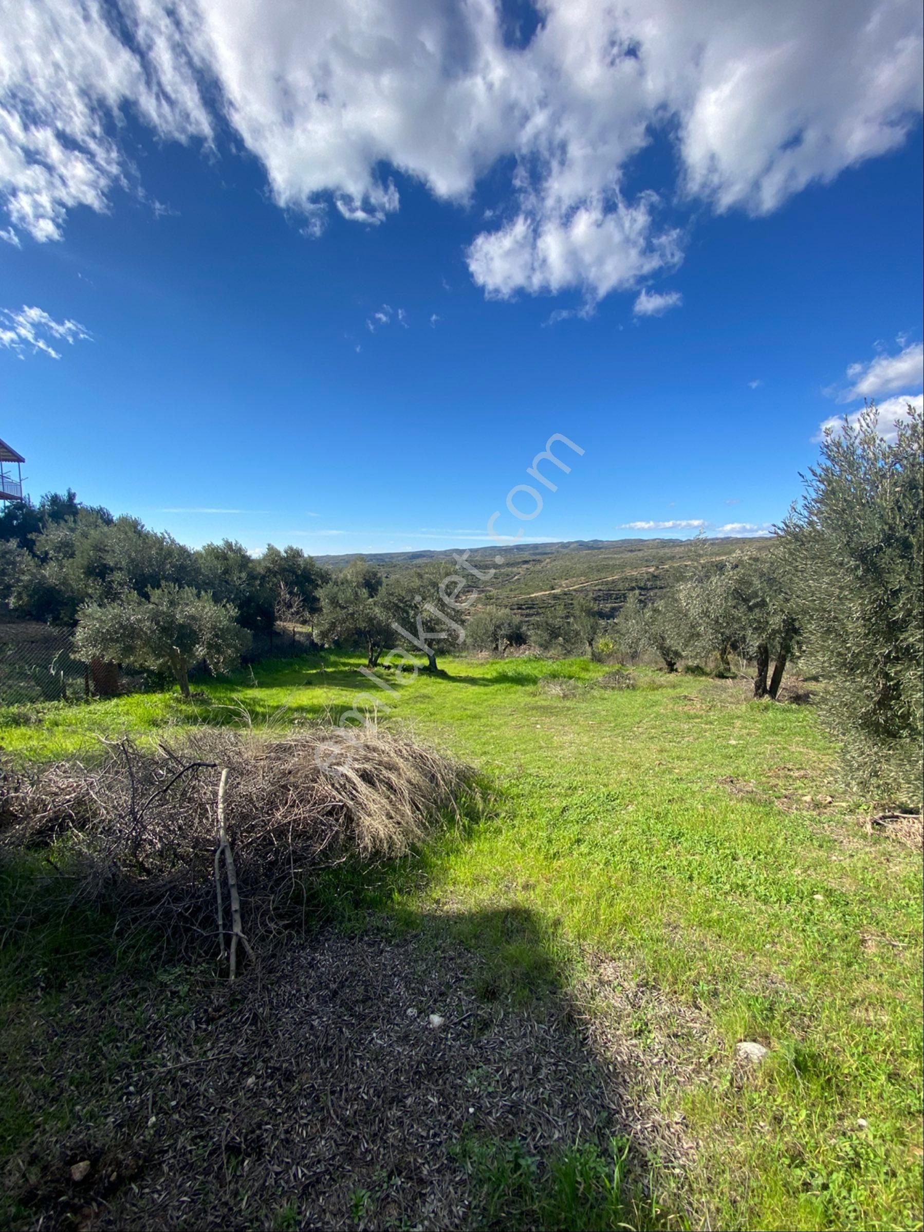 Evrenleryavşı Mahallesinde 1700 Metre Hisseli Tarla Satılık - Görsel 2