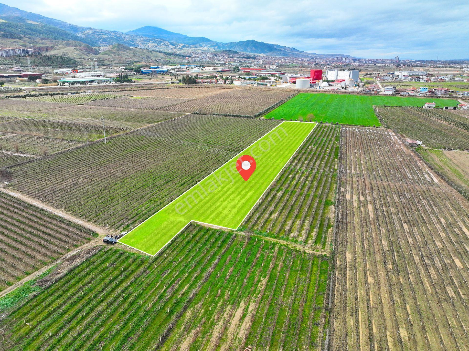 10 Gün Geçerli Alaşehir Merkeze Yakın 10.300 Metre Üzüm Bağı Acil. - Görsel 4