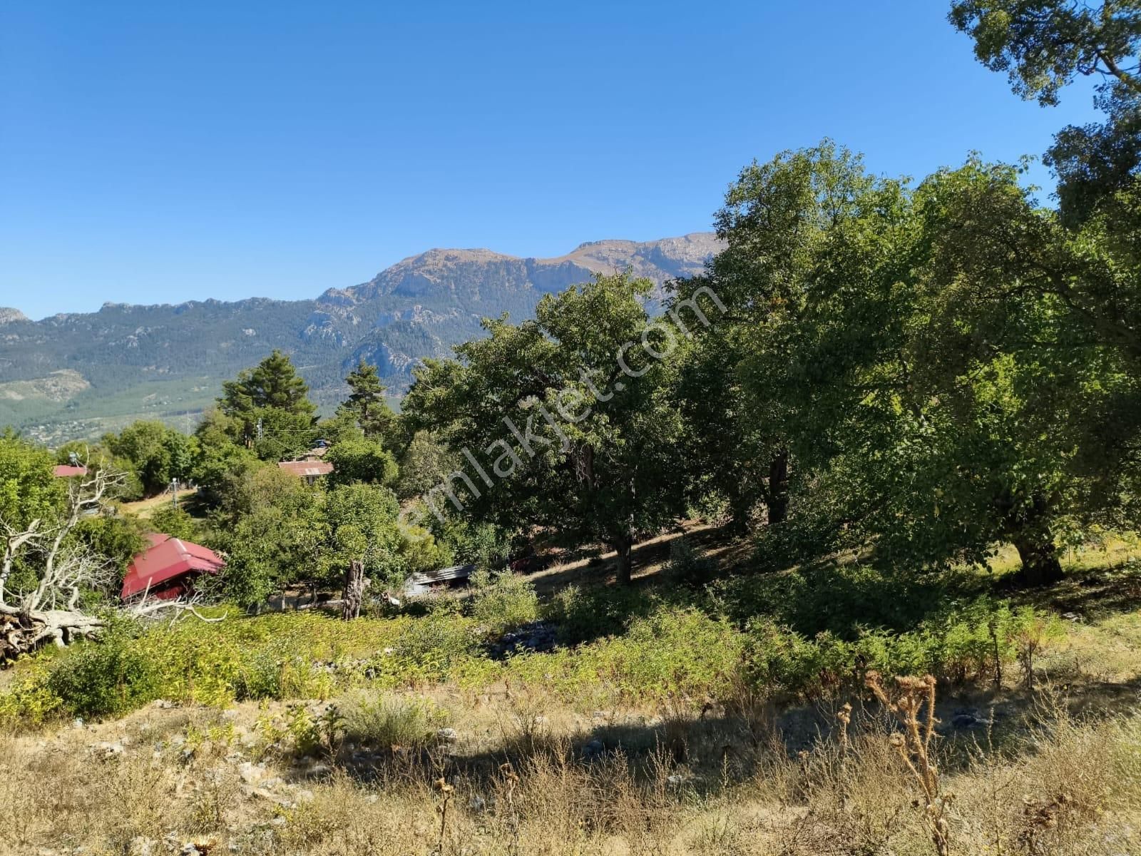 Kar Emlaktan Alçatekir Eskiköyde 235m2 Satılık Arsa - Görsel 4