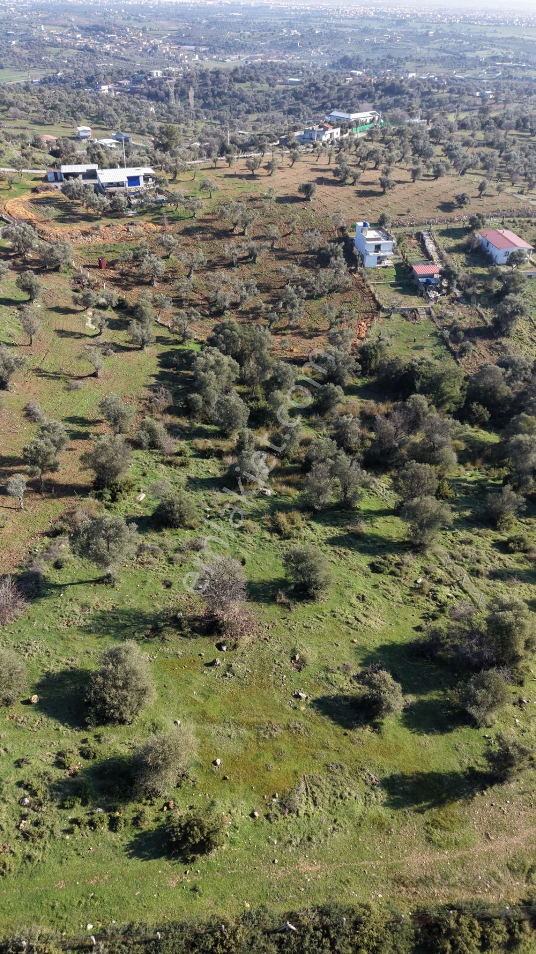 Menderes Akçaköyde Satılık Tektapu 3.160 M2 Full Manzaralı Yatırımlık Arazi - Görsel 15