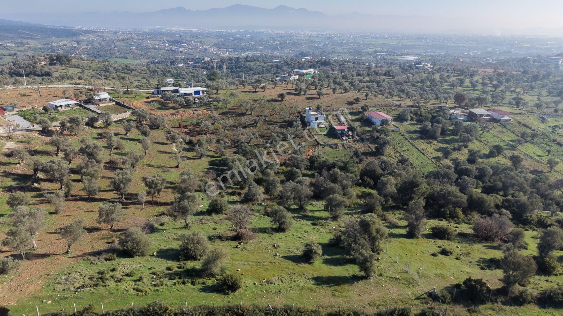 Menderes Akçaköyde Satılık Tektapu 3.160 M2 Full Manzaralı Yatırımlık Arazi - Görsel 9