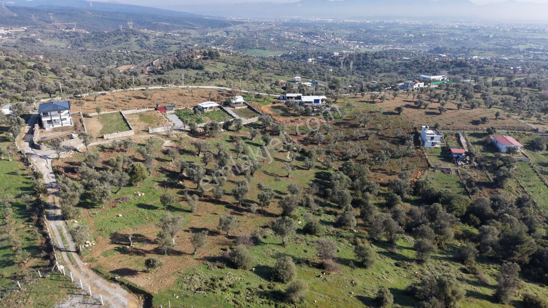Menderes Akçaköyde Satılık Tektapu 3.160 M2 Full Manzaralı Yatırımlık Arazi - Görsel 6