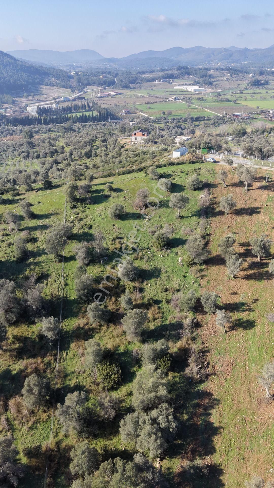 Menderes Akçaköyde Satılık Tektapu 3.160 M2 Full Manzaralı Yatırımlık Arazi - Görsel 19
