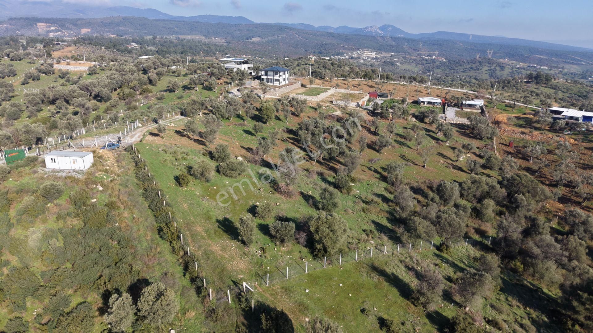Menderes Akçaköyde Satılık Tektapu 3.160 M2 Full Manzaralı Yatırımlık Arazi - Görsel 3