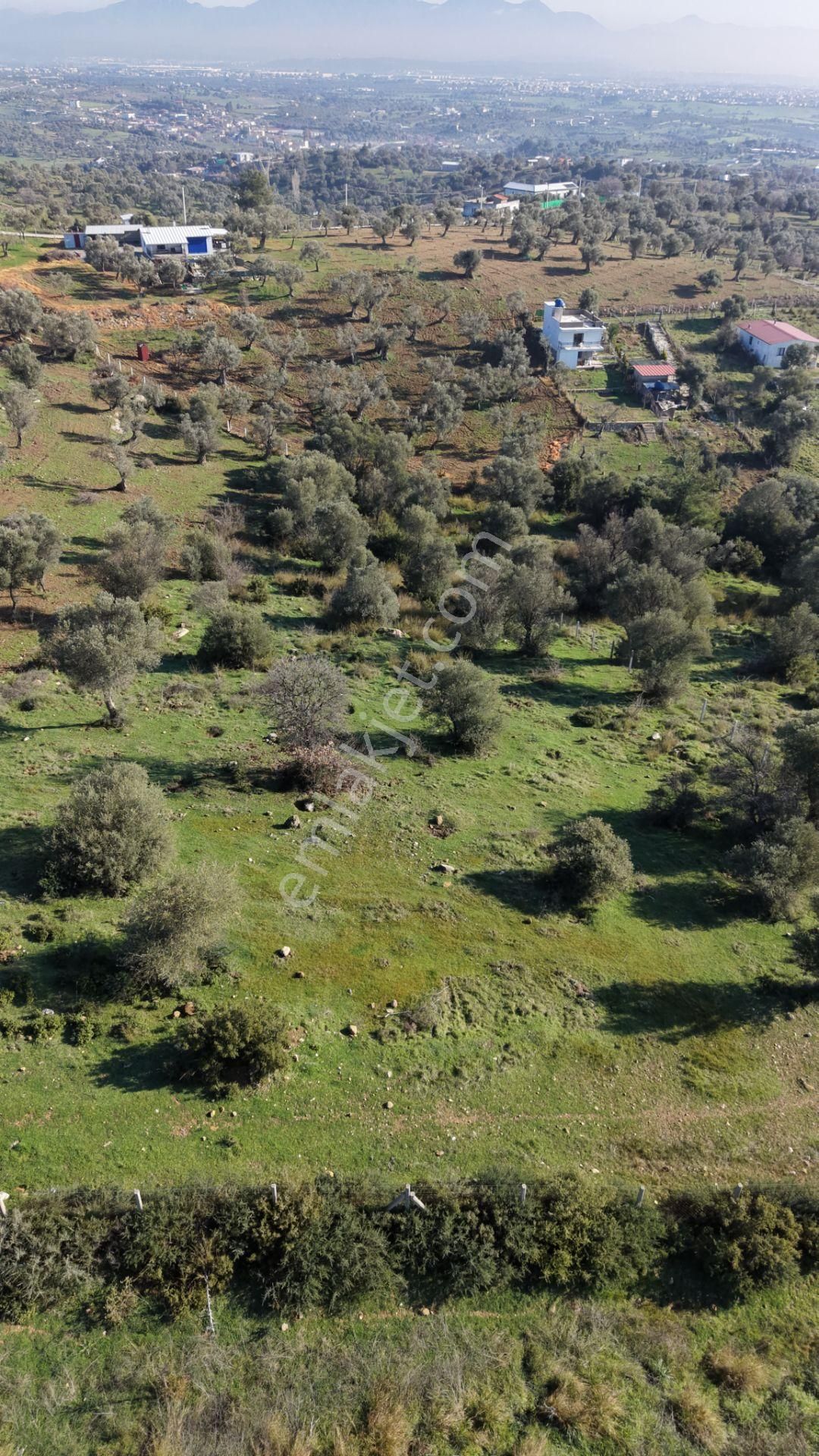Menderes Akçaköyde Satılık Tektapu 3.160 M2 Full Manzaralı Yatırımlık Arazi - Görsel 16