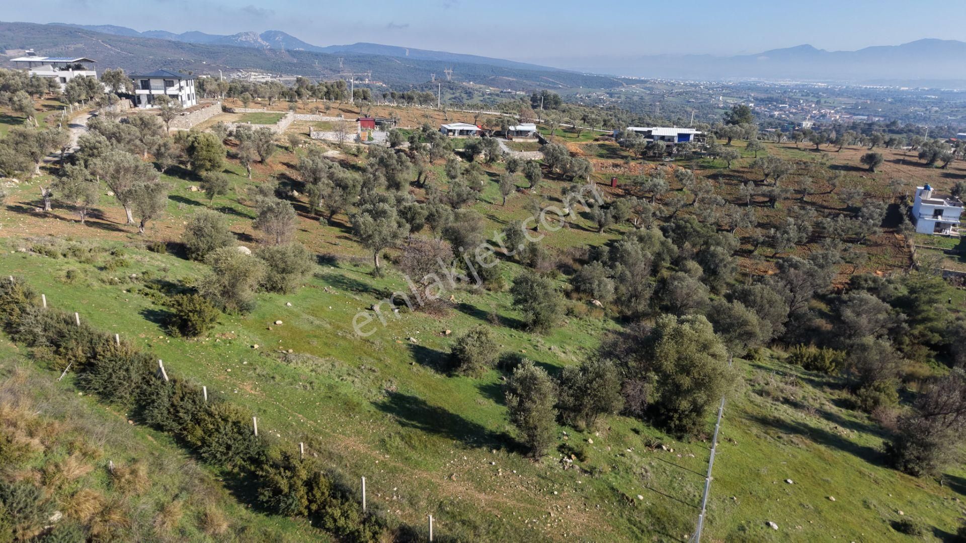 Menderes Akçaköyde Satılık Tektapu 3.160 M2 Full Manzaralı Yatırımlık Arazi - Görsel 5