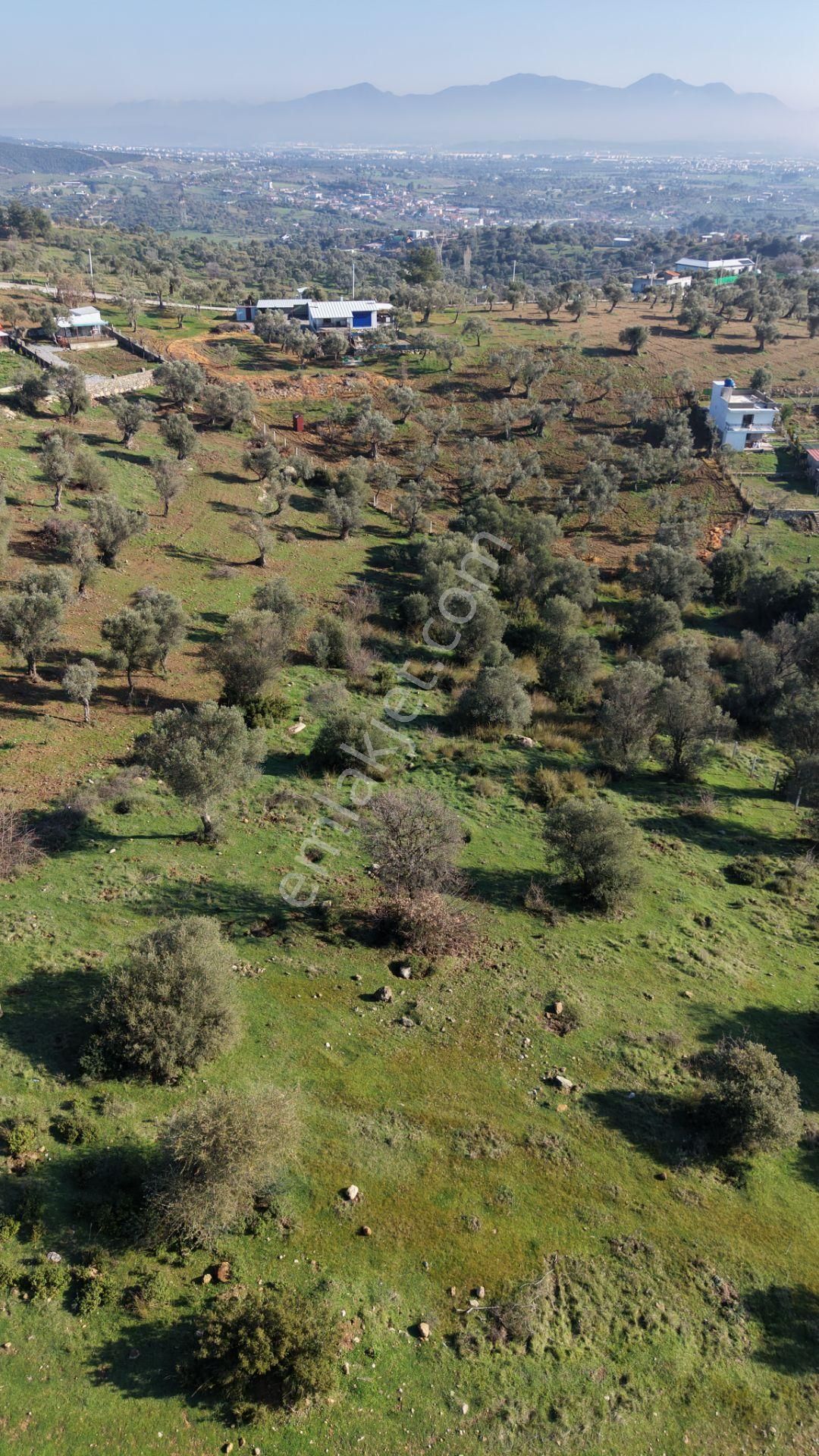 Menderes Akçaköyde Satılık Tektapu 3.160 M2 Full Manzaralı Yatırımlık Arazi - Görsel 20