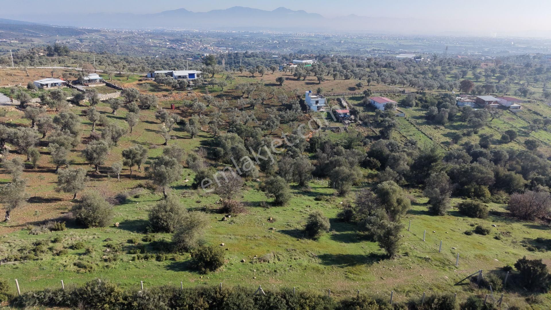 Menderes Akçaköyde Satılık Tektapu 3.160 M2 Full Manzaralı Yatırımlık Arazi - Görsel 10