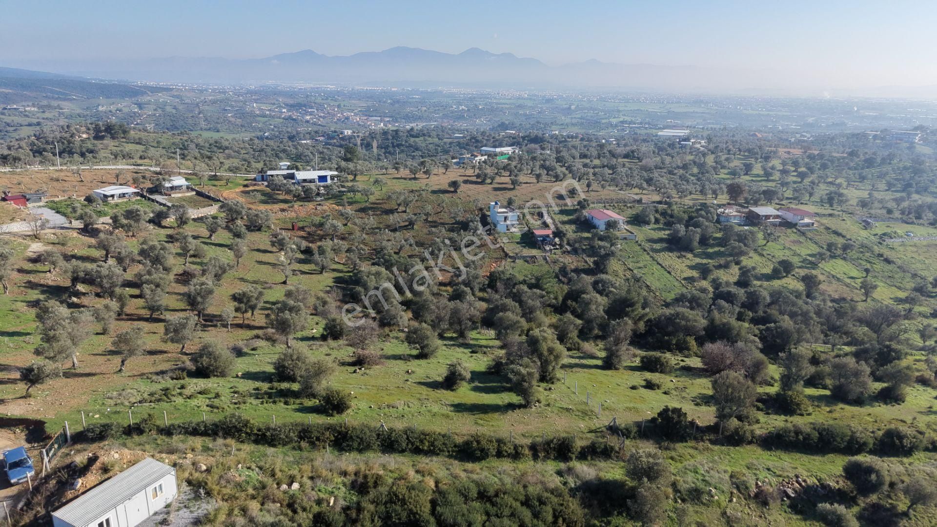 Menderes Akçaköyde Satılık Tektapu 3.160 M2 Full Manzaralı Yatırımlık Arazi - Görsel 2