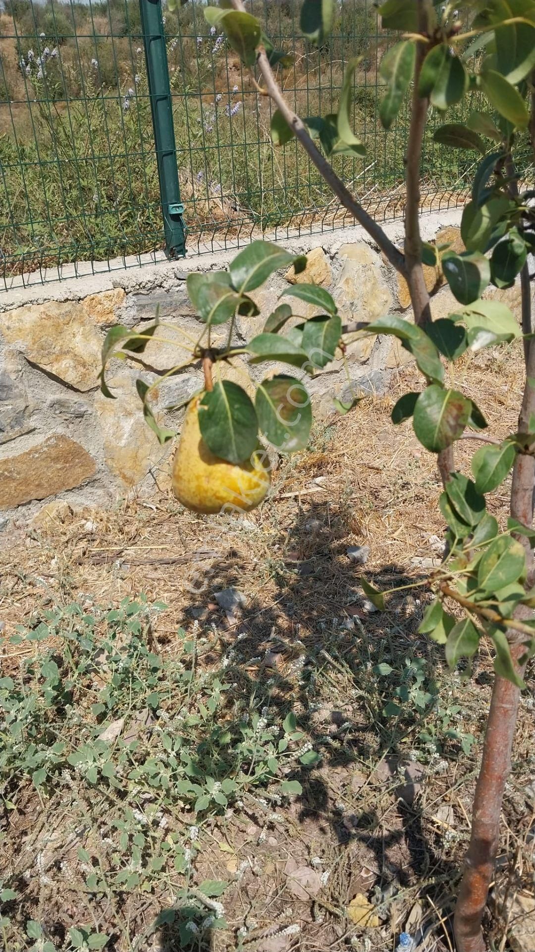 Beyciler'de 627 M2 Müstakil Parselde Tek Katlı Teraslı Villa - Görsel 27