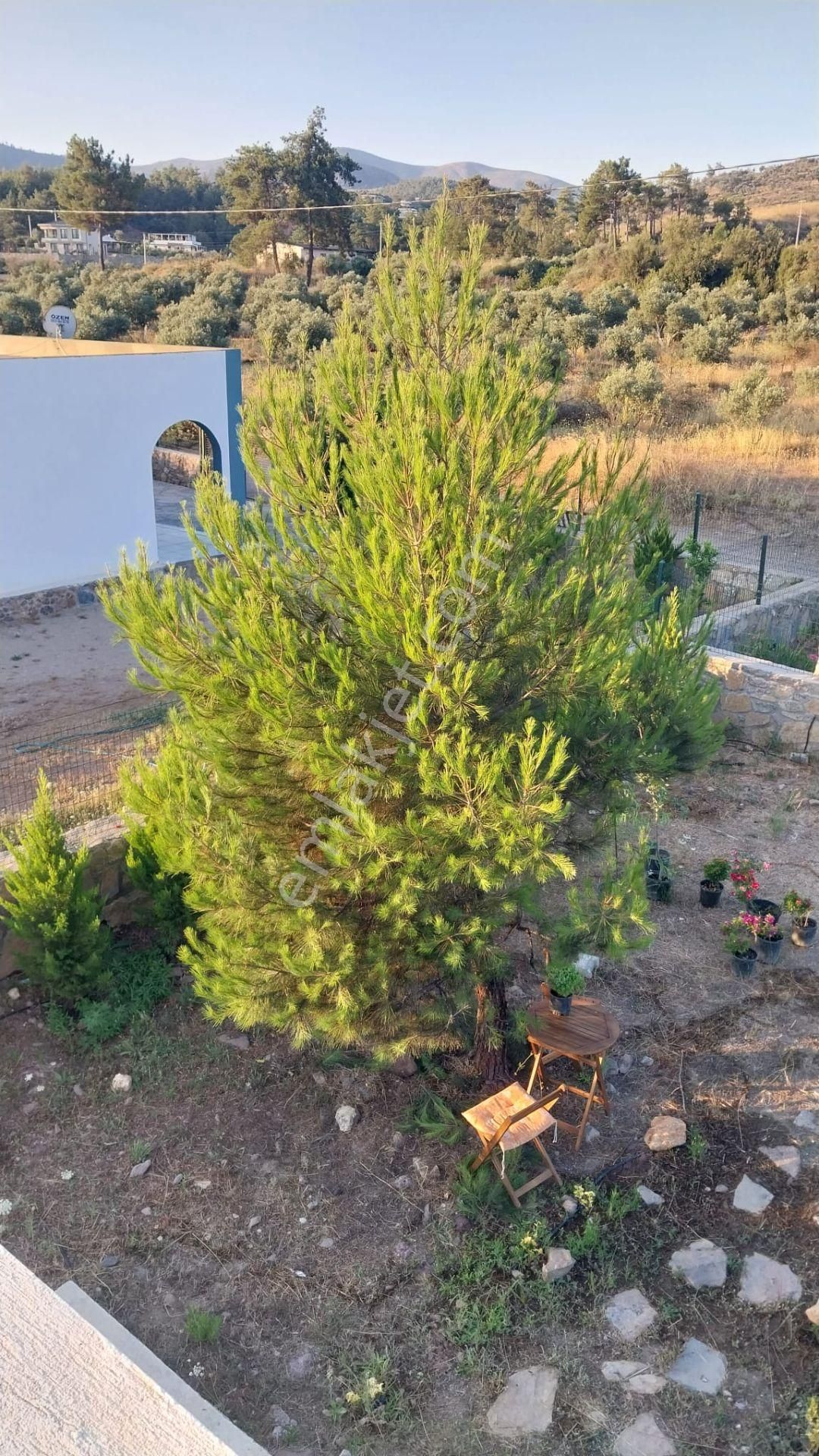 Beyciler'de 627 M2 Müstakil Parselde Tek Katlı Teraslı Villa - Görsel 23