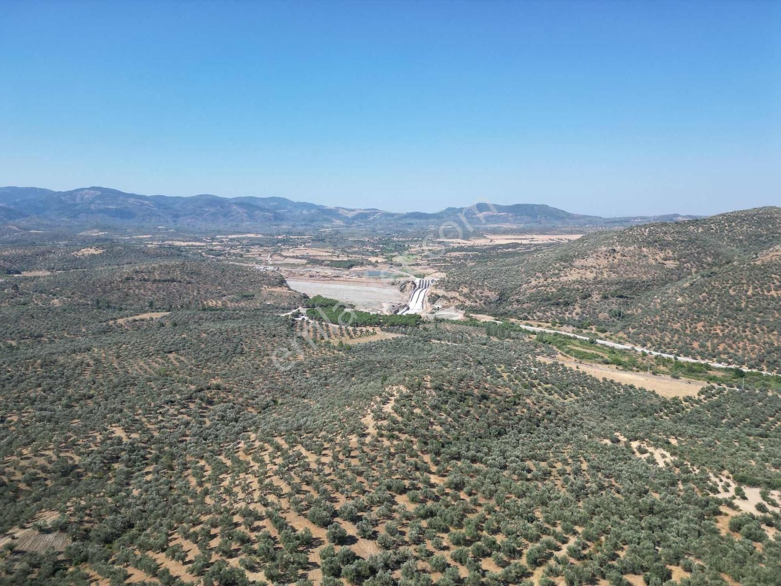 Onmax Burhaniye Hisar Köyü Satılık 2800 M2 Zeytinlik - Görsel 29