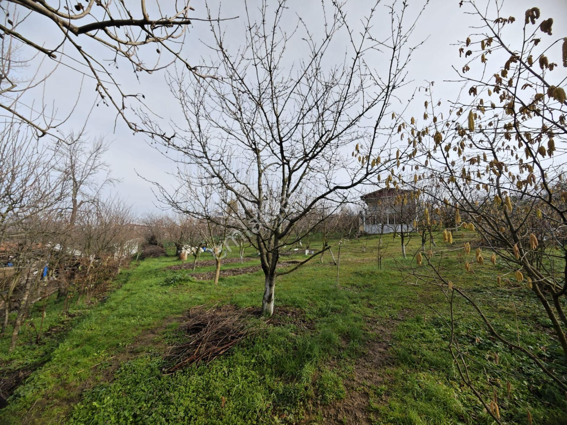 Bursa Kestel Aksu Resmi Elektrik Su Satılık 1476m2 Tarla/arsa - Görsel 10