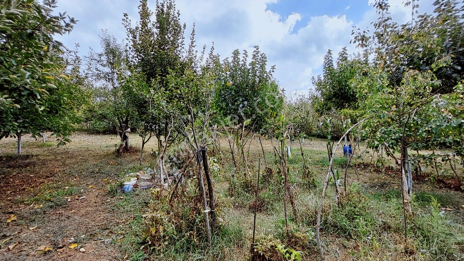 Bursa Kestel Aksu Resmi Elektrik Su Satılık 1476m2 Tarla/arsa - Görsel 34