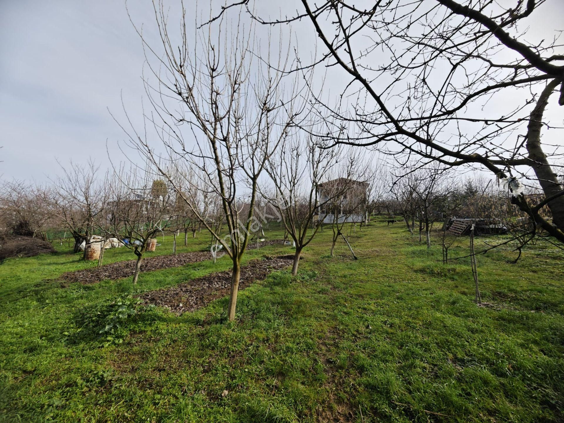 Bursa Kestel Aksu Resmi Elektrik Su Satılık 1476m2 Tarla/arsa - Görsel 11