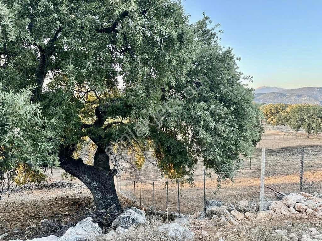 Kaş Gökçeyazı Yola Cephe 680 M2 Müstakil Parsel - Görsel 9