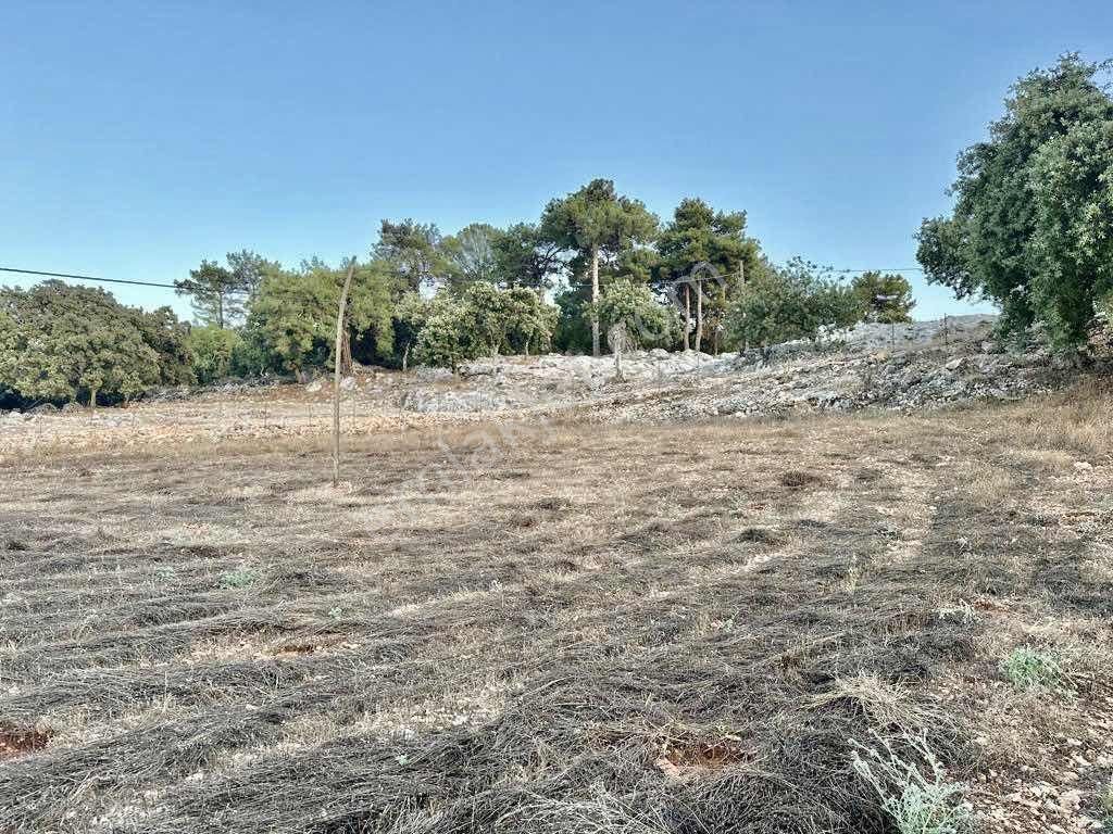 Kaş Gökçeyazı Yola Cephe 680 M2 Müstakil Parsel - Görsel 5