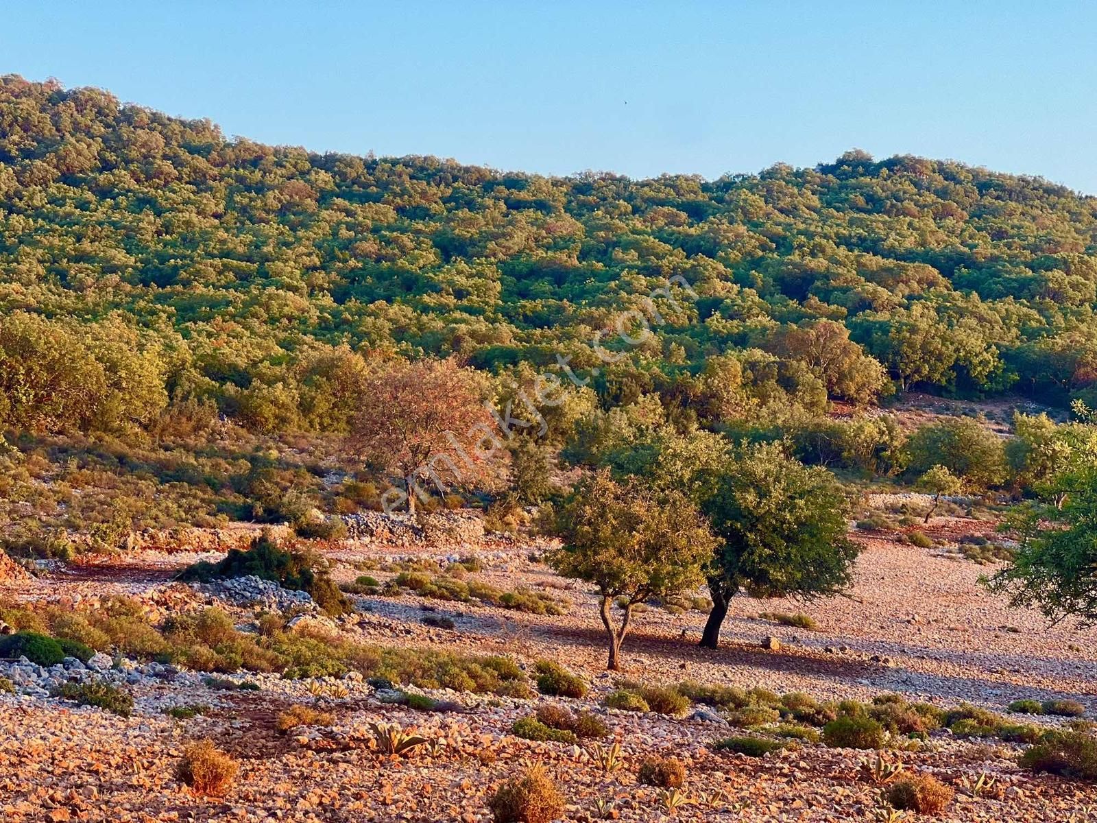 Kaş Gökçeyazı Da Müstakil 1.480 M2 Parsel ( Kısa Süreliğine ) - Görsel 5