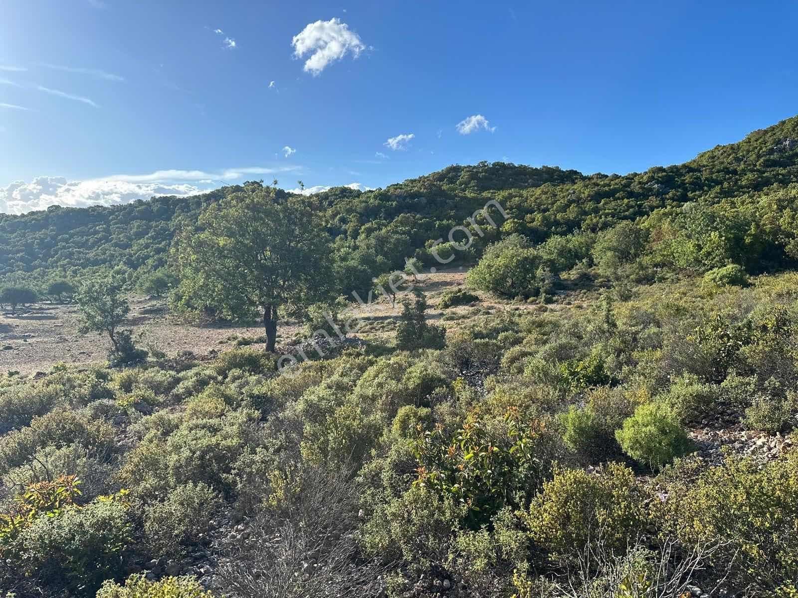 Kaş Gökçeyazı Da Müstakil 1.480 M2 Parsel ( Kısa Süreliğine ) - Görsel 3