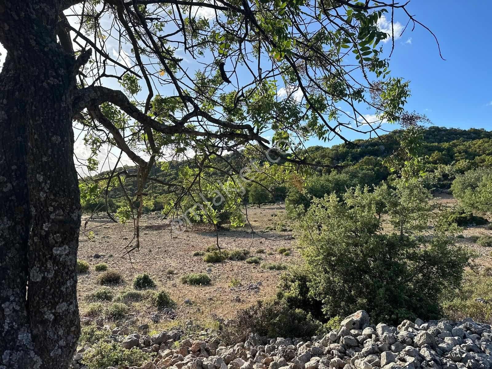 Kaş Gökçeyazı Da Müstakil 1.480 M2 Parsel ( Kısa Süreliğine ) - Görsel 13