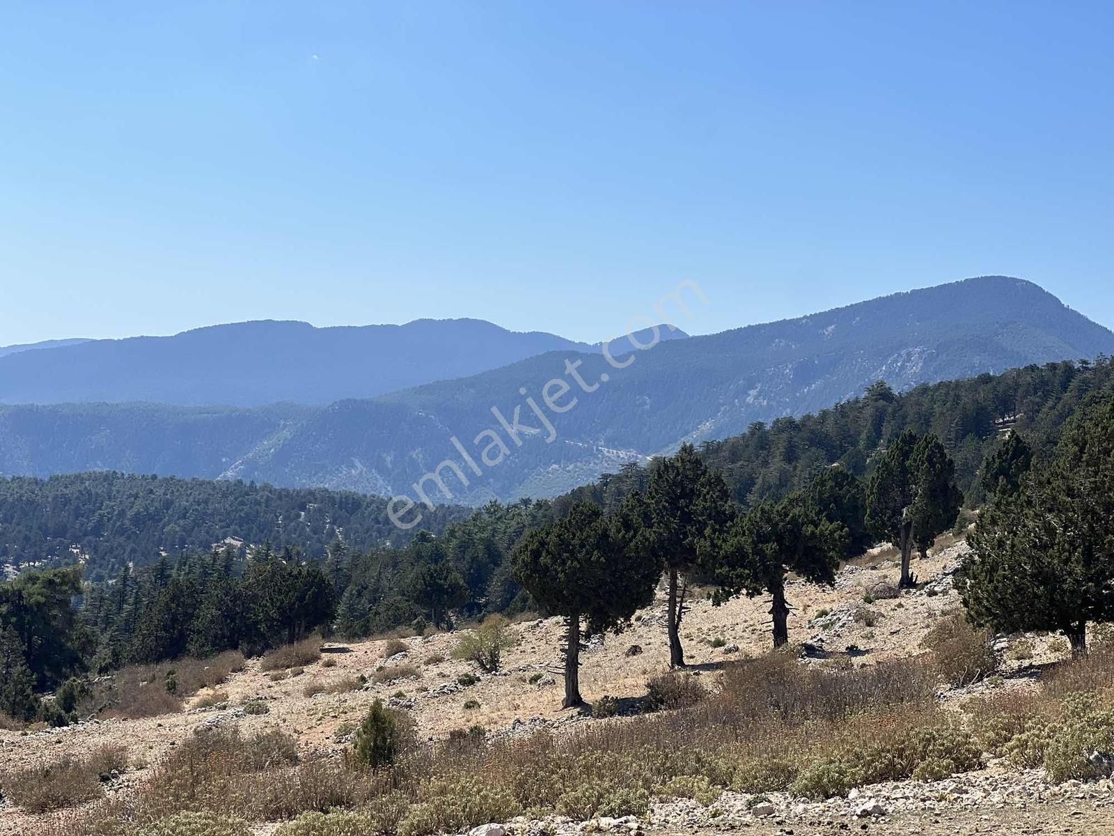 Kaş Çeşme De Yola Cephe 5.600 M2 Müstakil Tapu - Görsel 8
