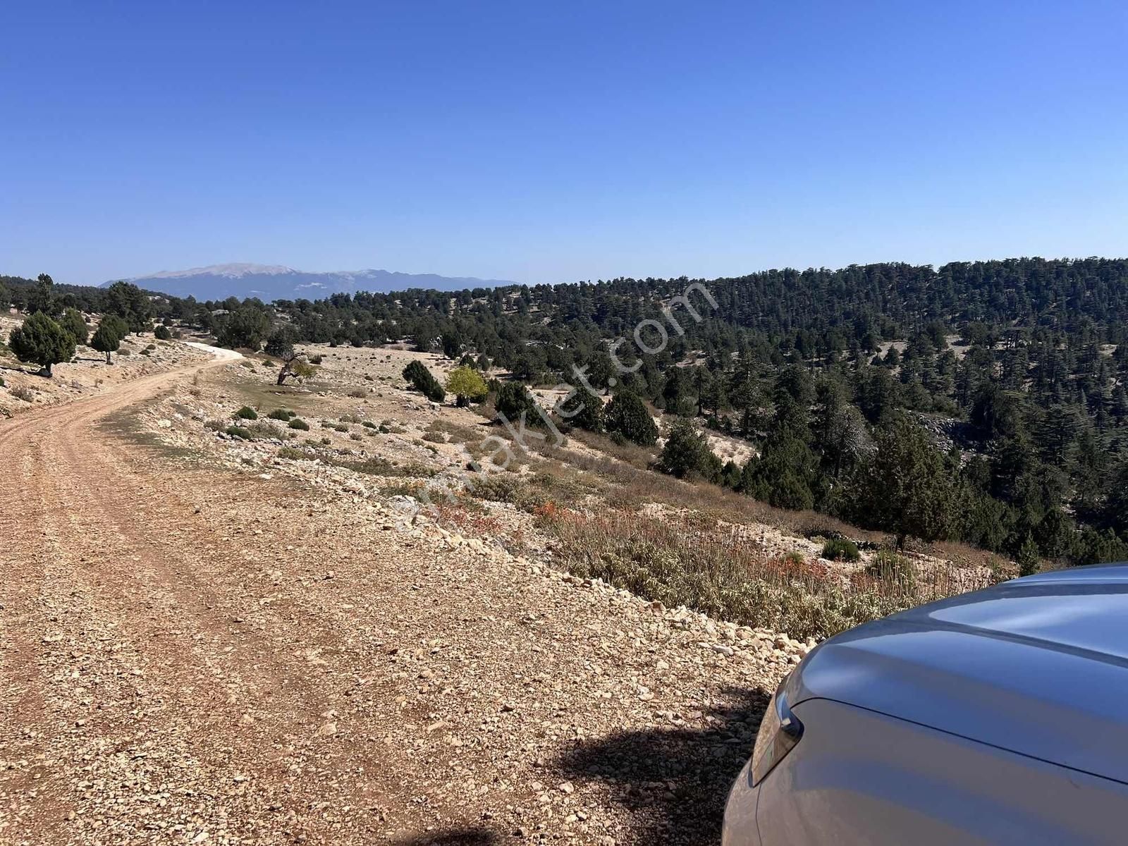 Kaş Çeşme De Yola Cephe 5.600 M2 Müstakil Tapu - Görsel 16