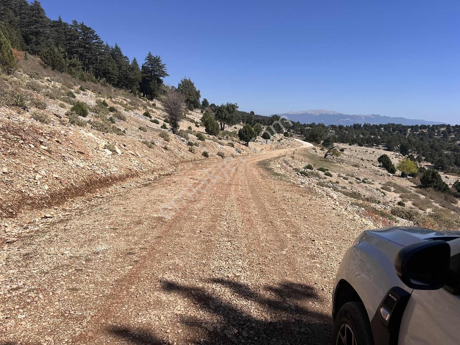 Kaş Çeşme De Yola Cephe 5.600 M2 Müstakil Tapu - Görsel 18