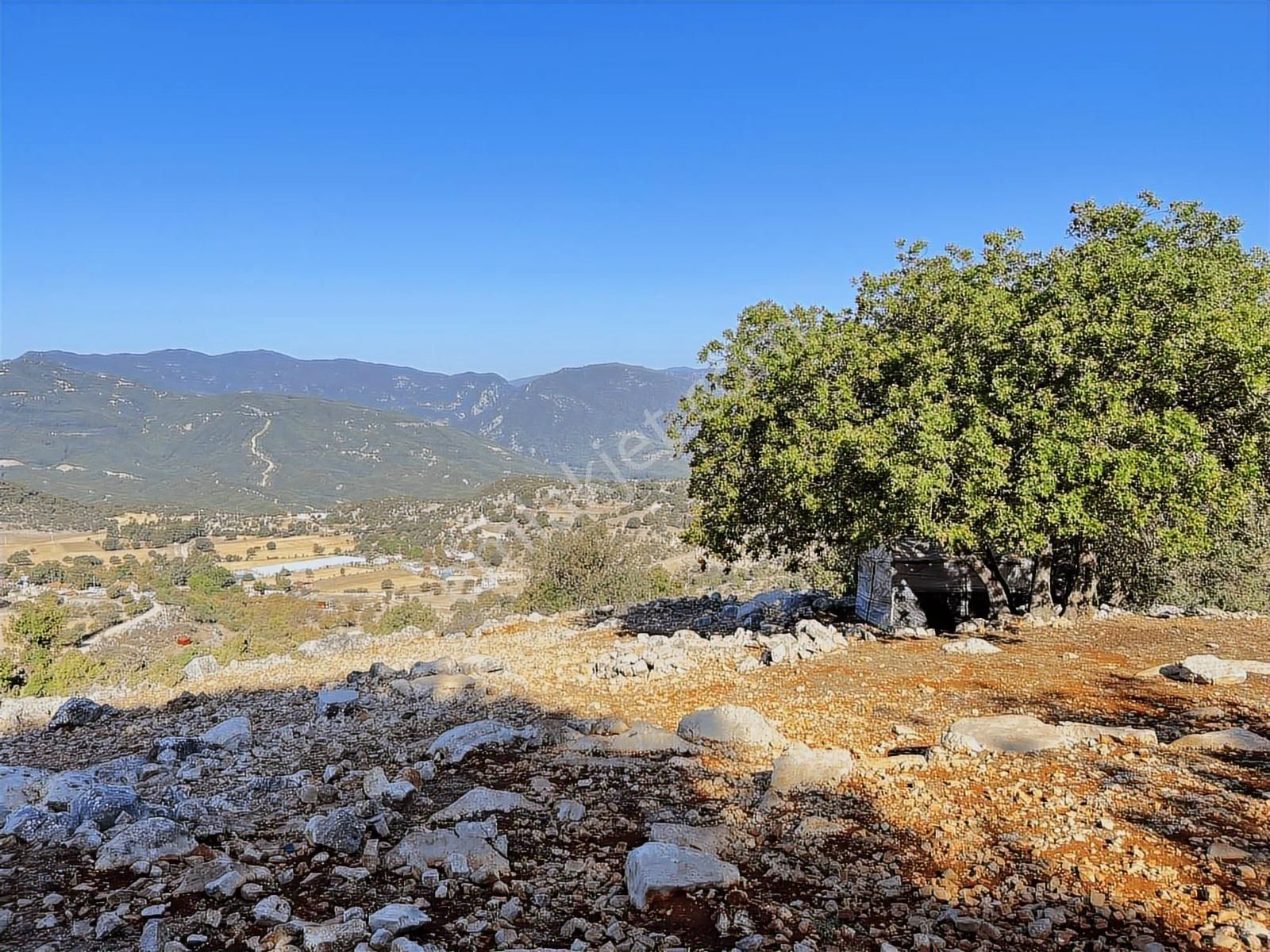 Kaş Ahatlı'da Fırsat Ev Ve Su Kuyu'lu 14.200 M2 Müstakil Parsel - Görsel 8