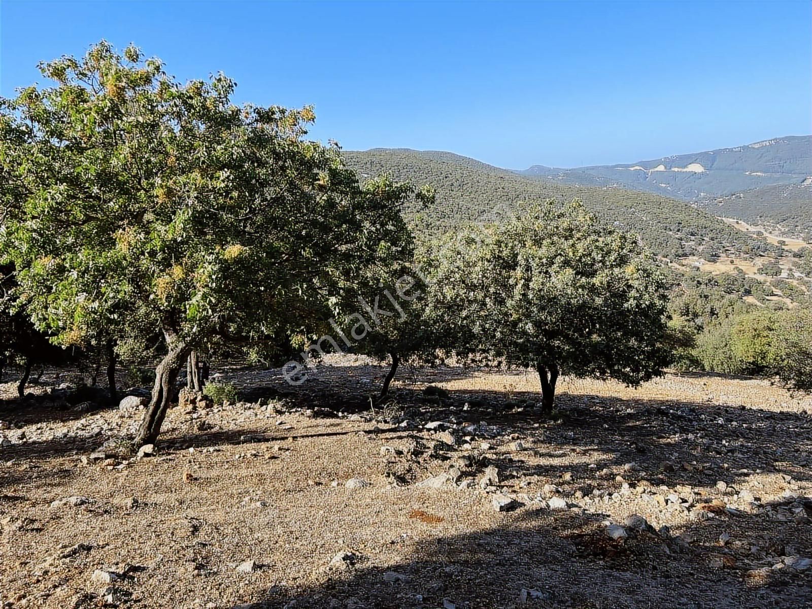 Kaş Ahatlı'da Fırsat Ev Ve Su Kuyu'lu 14.200 M2 Müstakil Parsel - Görsel 14