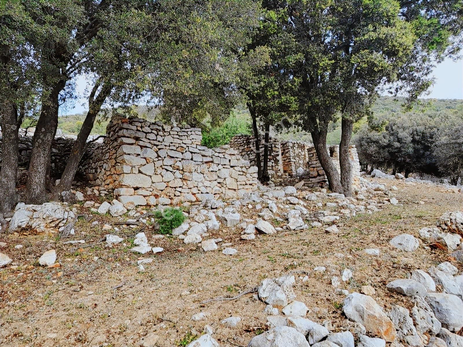 Kaş Ahatlı'da Fırsat Ev Ve Su Kuyu'lu 14.200 M2 Müstakil Parsel - Görsel 12