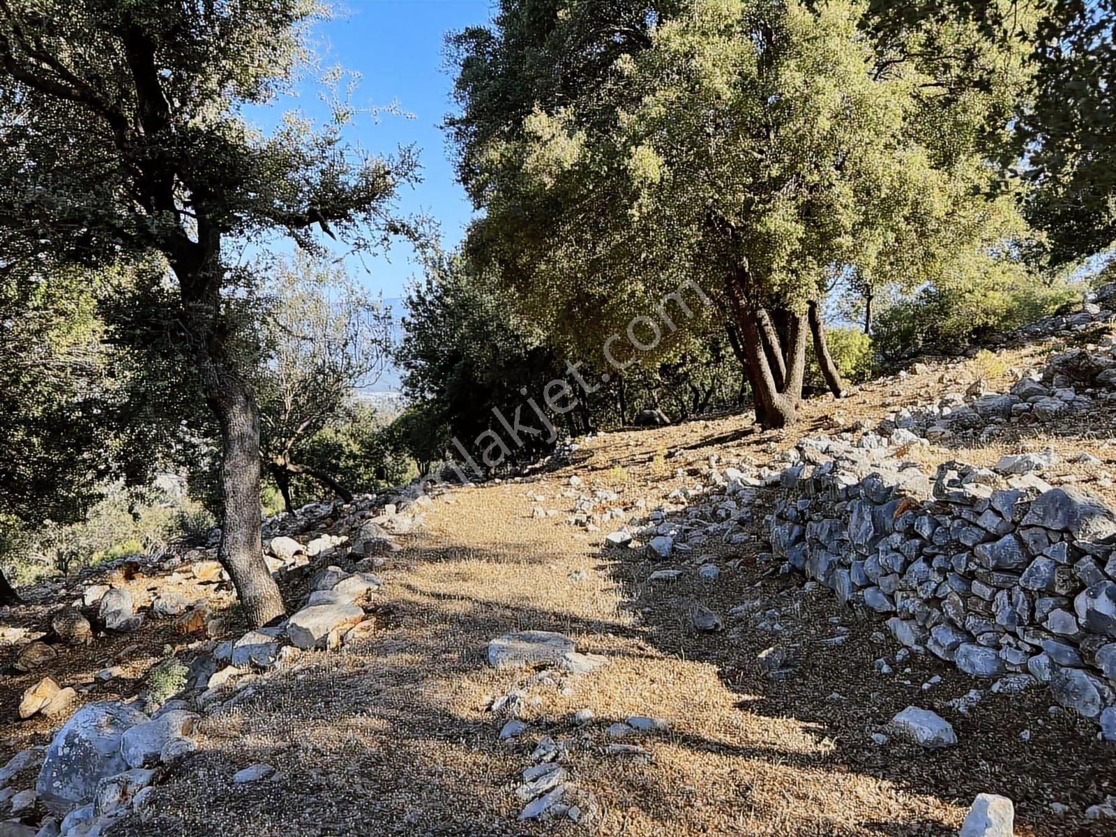 Kaş Ahatlı'da Fırsat Ev Ve Su Kuyu'lu 14.200 M2 Müstakil Parsel - Görsel 21
