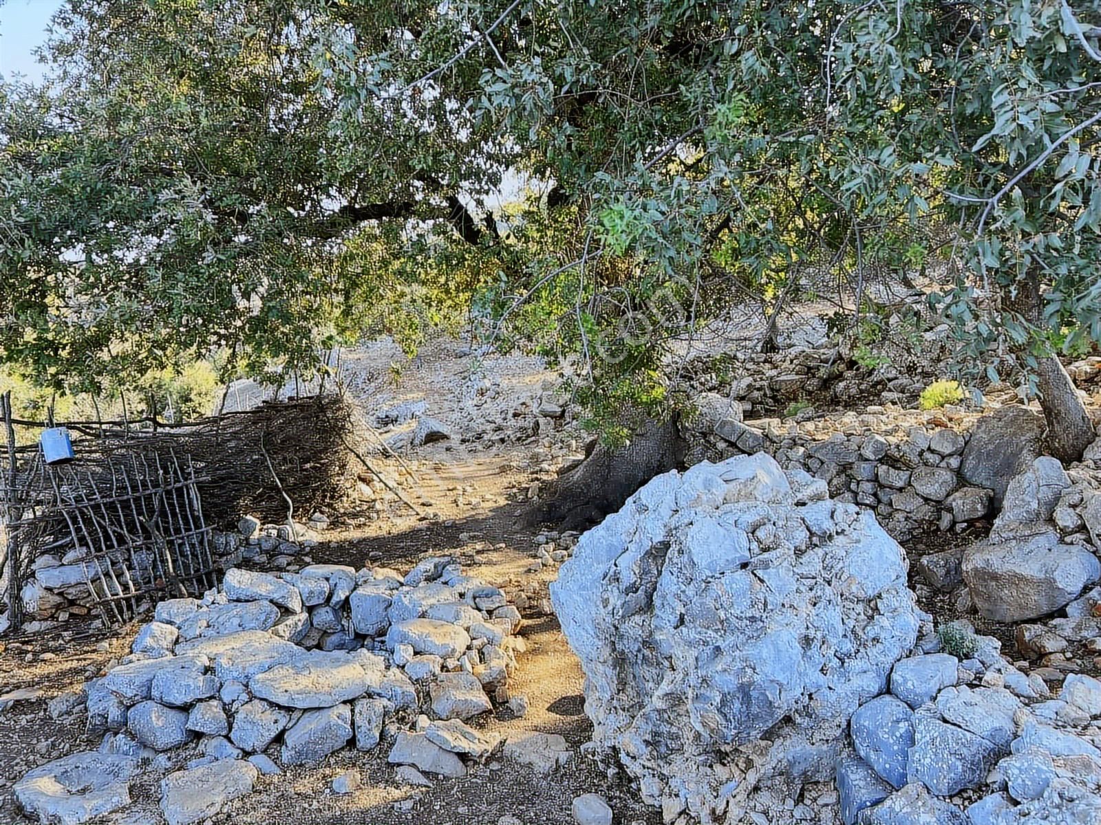 Kaş Ahatlı'da Fırsat Ev Ve Su Kuyu'lu 14.200 M2 Müstakil Parsel - Görsel 2