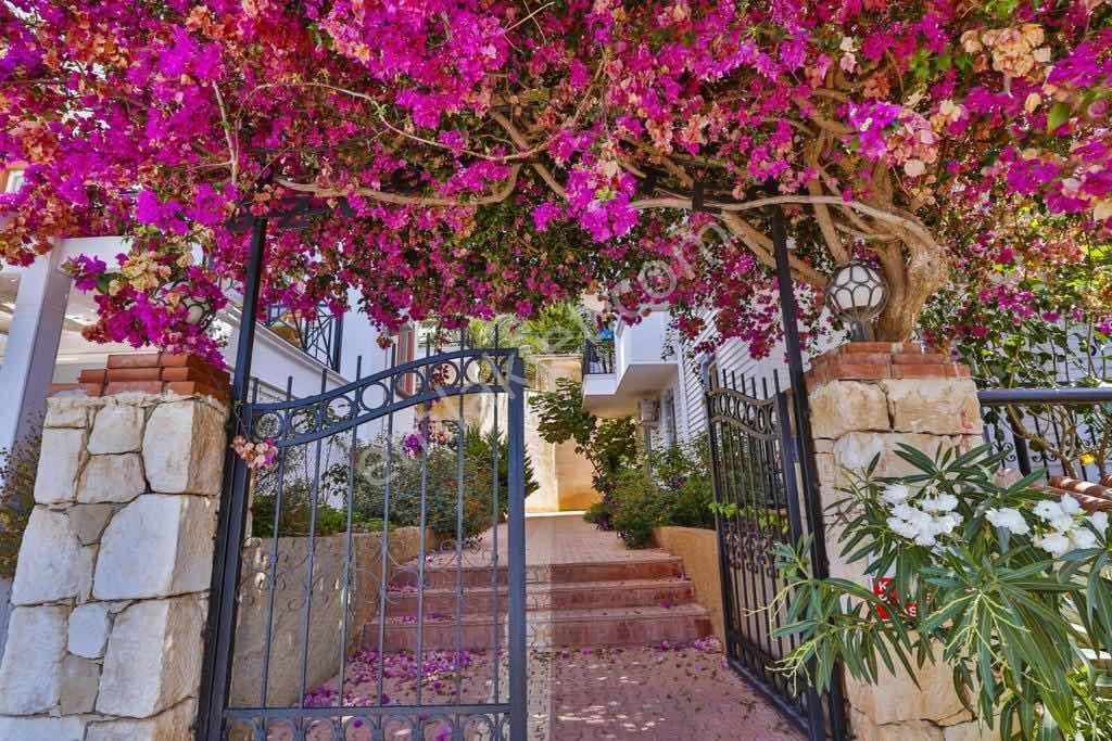 Kaş Merkezde Deniz Manzaralı Geniş 2+1 Daire - Görsel 4