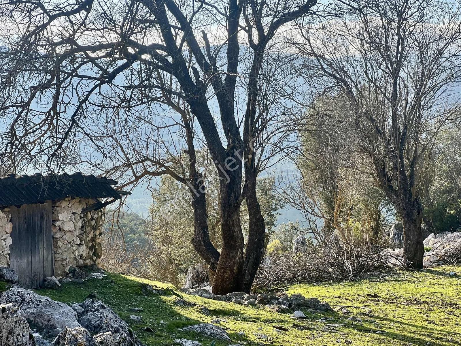 Kaş Ahatlı Da Kartal Yuvası Taş Ev Ve 1.770 M2 Bahçe - Görsel 7