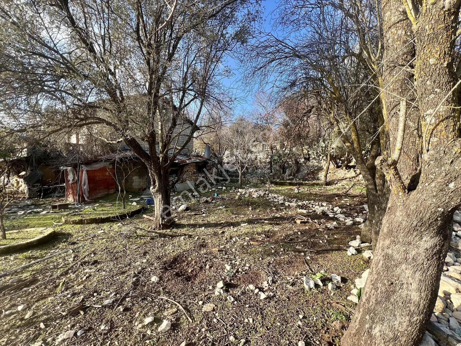 Kaş Ahatlı Da Kartal Yuvası Taş Ev Ve 1.770 M2 Bahçe - Görsel 30