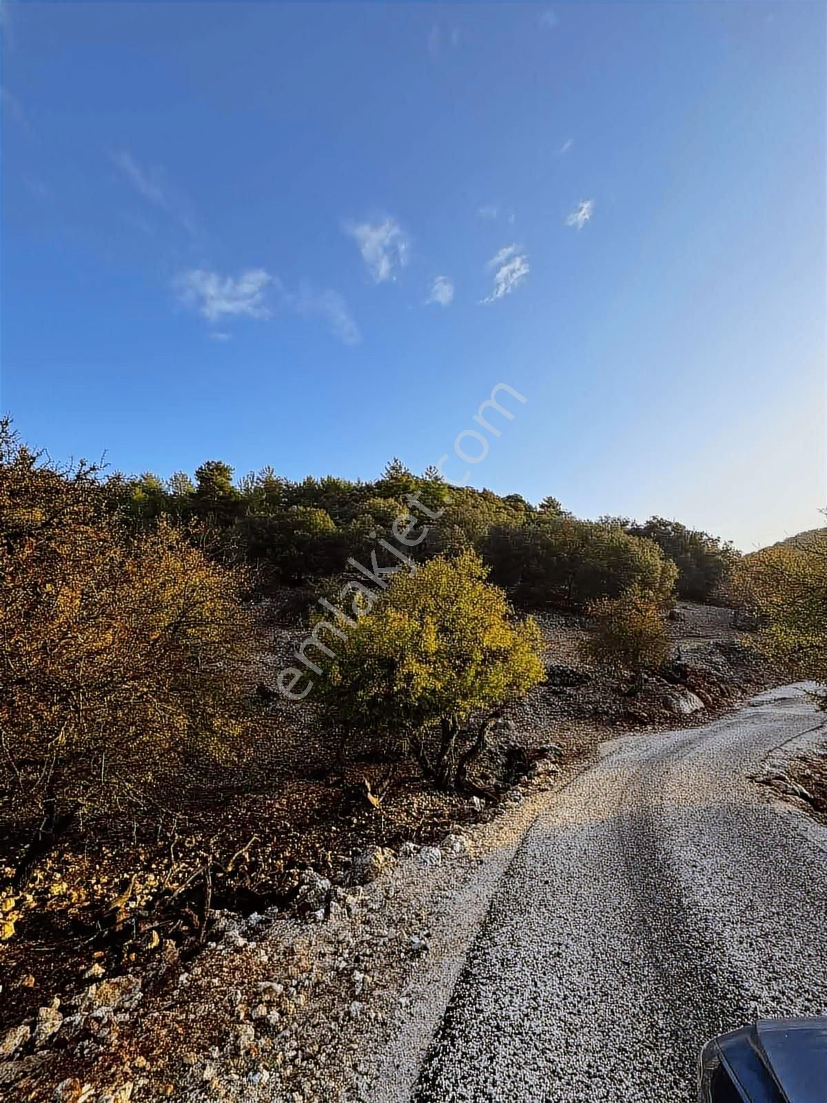 Davazlar'da Yola Cephe 4.600 M2 Tarla (araç Takasına Açıktır ) - Görsel 5