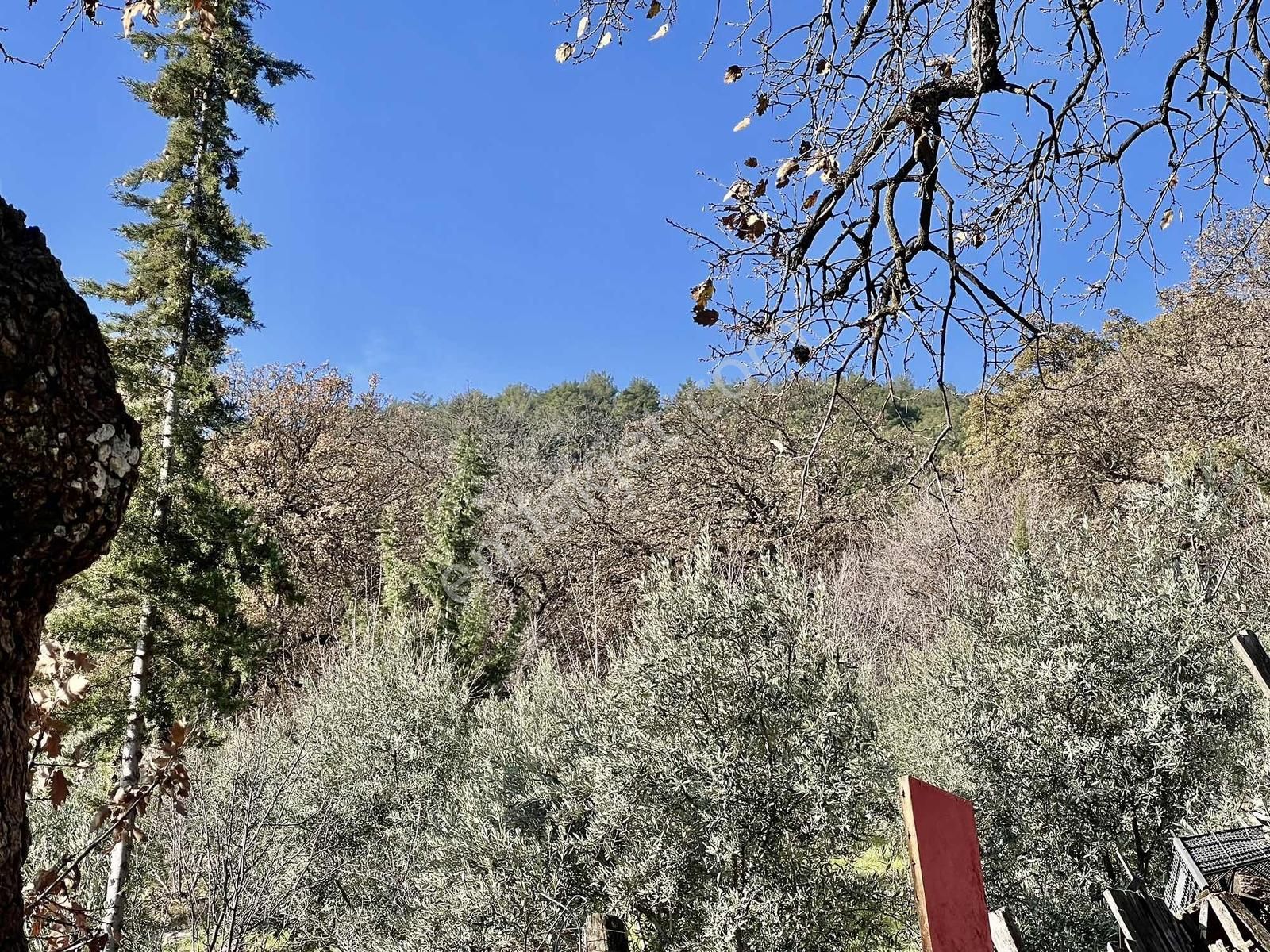 Kaş Çeşme Merkez De Mega'dan Ev Ve 1.250 M2 Bahçe - Görsel 15