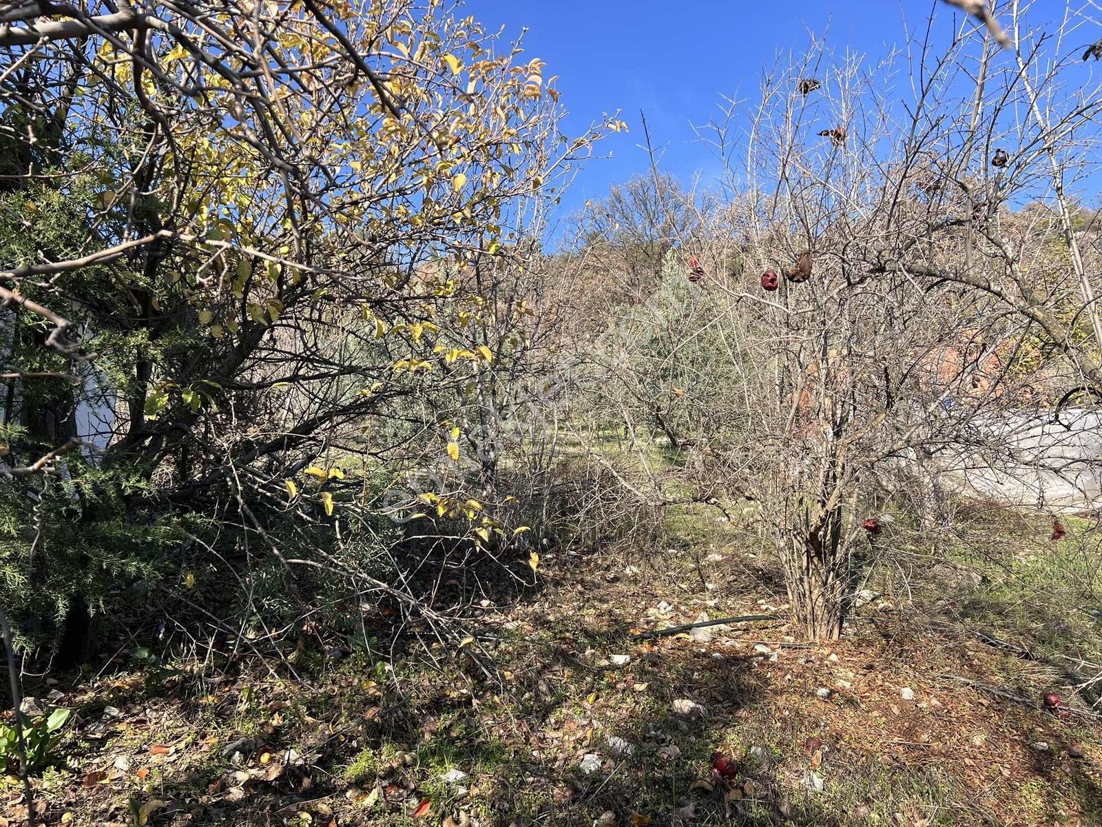 Kaş Çeşme Merkez De Mega'dan Ev Ve 1.250 M2 Bahçe - Görsel 17