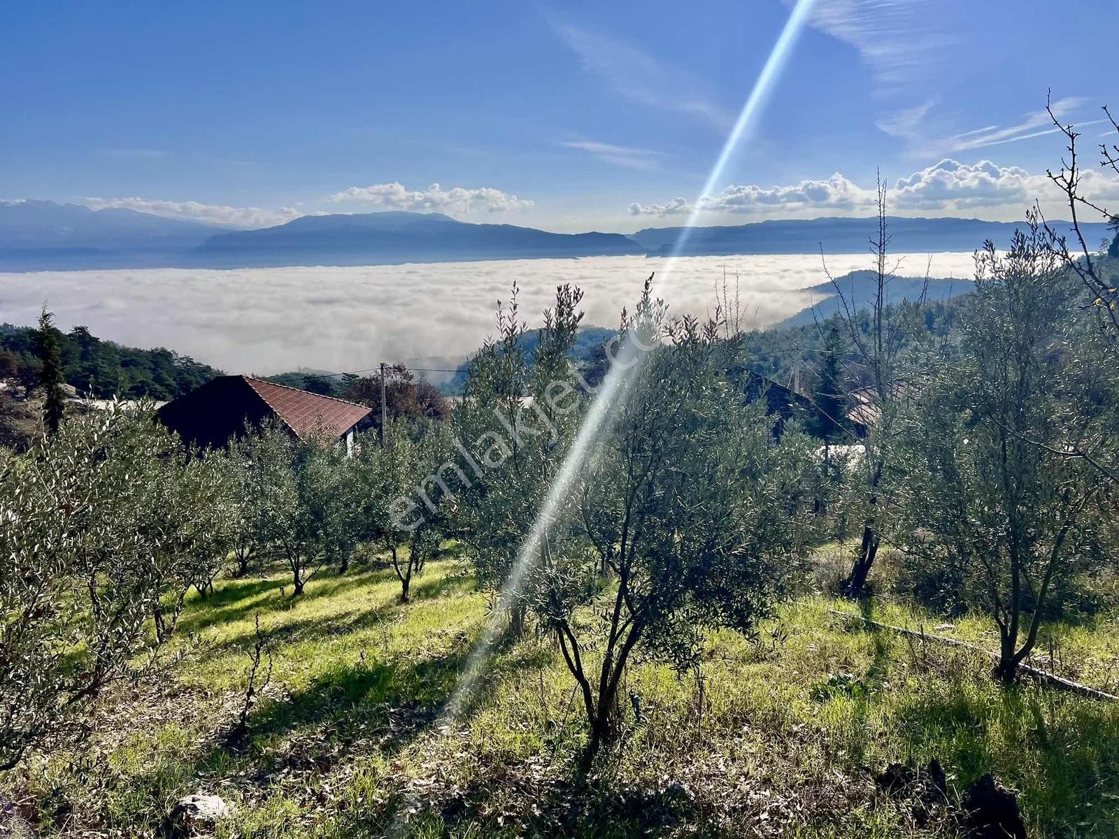 Kaş Çeşme Merkez De Mega'dan Ev Ve 1.250 M2 Bahçe - Görsel 24